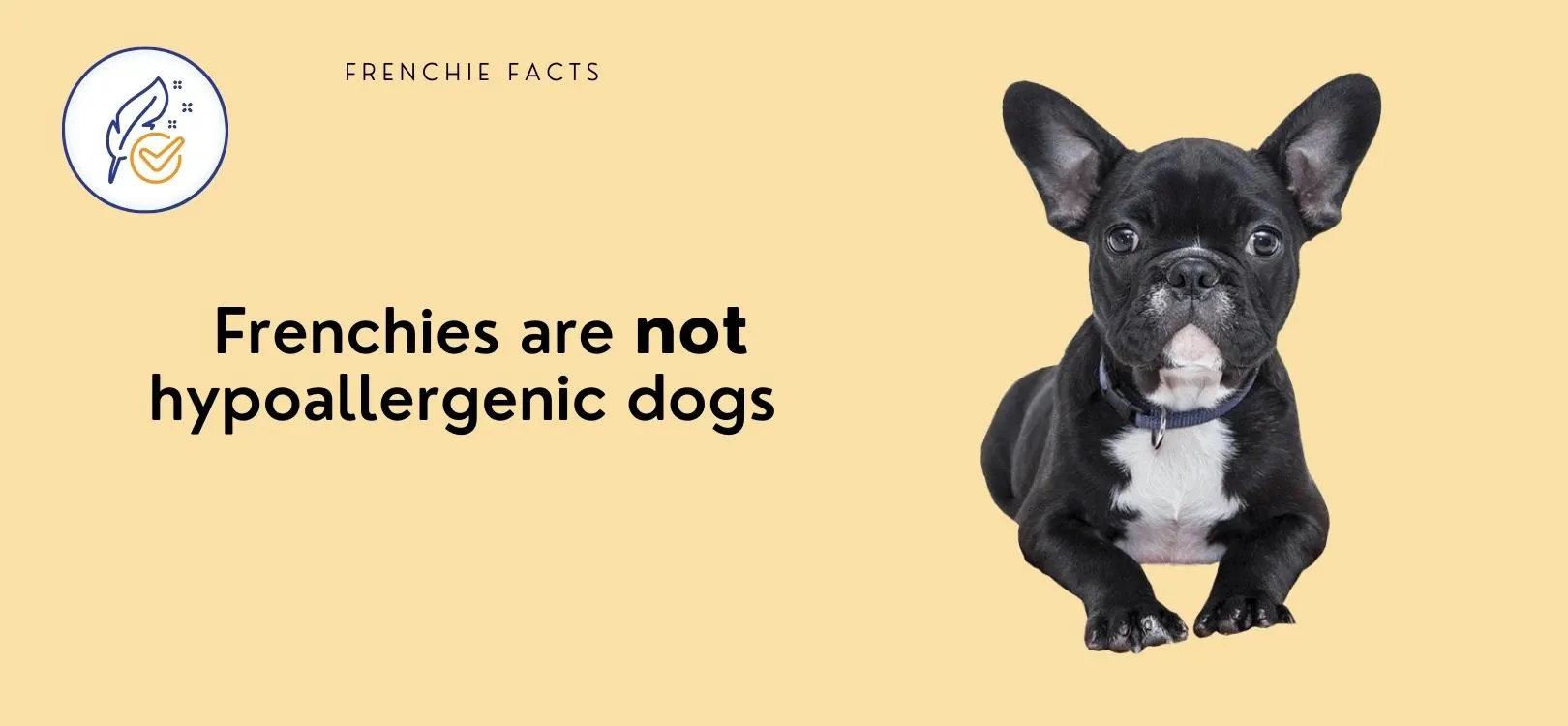 facts about french bulldog 