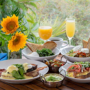 Farm to table breakfast in bed