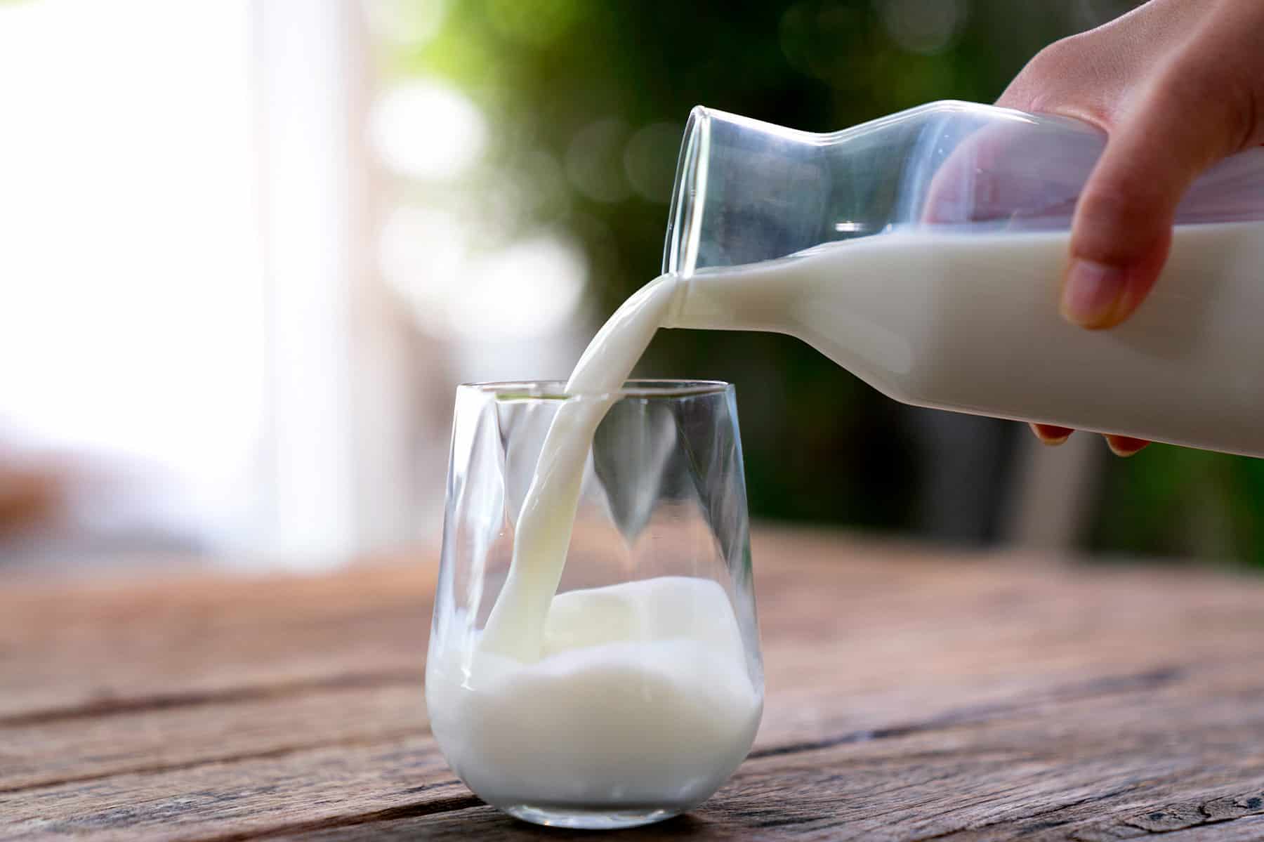 traditional superfood