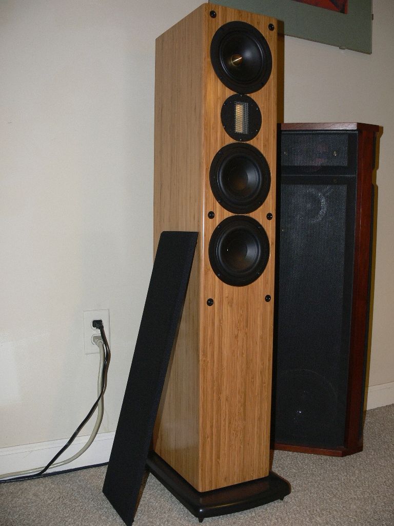 Ascend acoustics sierra tower for sale sale