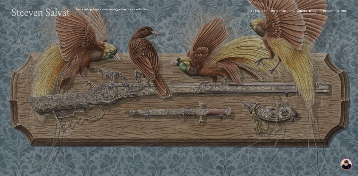 Screenshot of Steeven Salvat, from the website hero section designs collection.