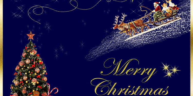 Wir laden Euch zu unserer Mitgliederversammlung und Weihnachtsfeier ein!