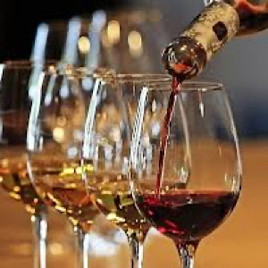 Vineyard Wine Tasting Experience with a Sea view from Split