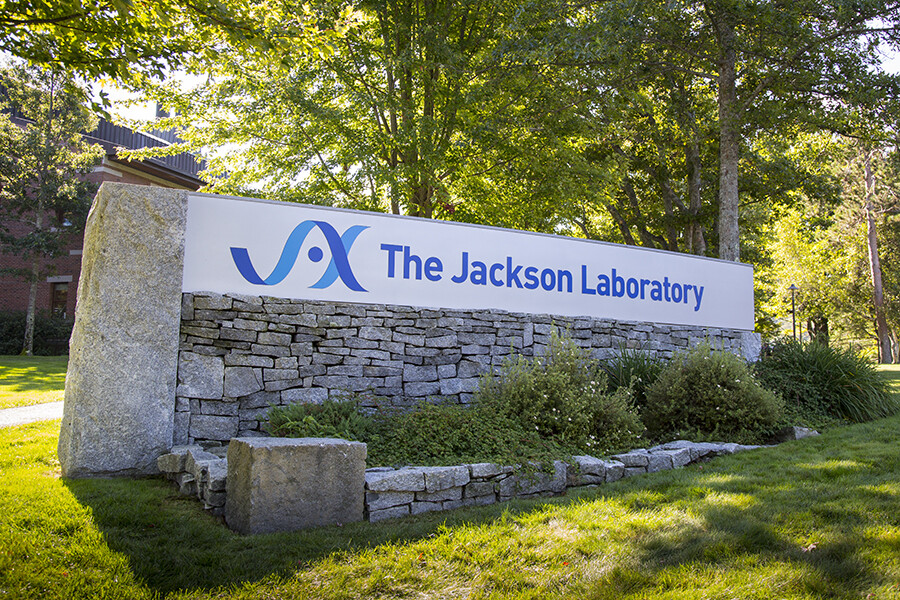 About The Jackson Laboratory