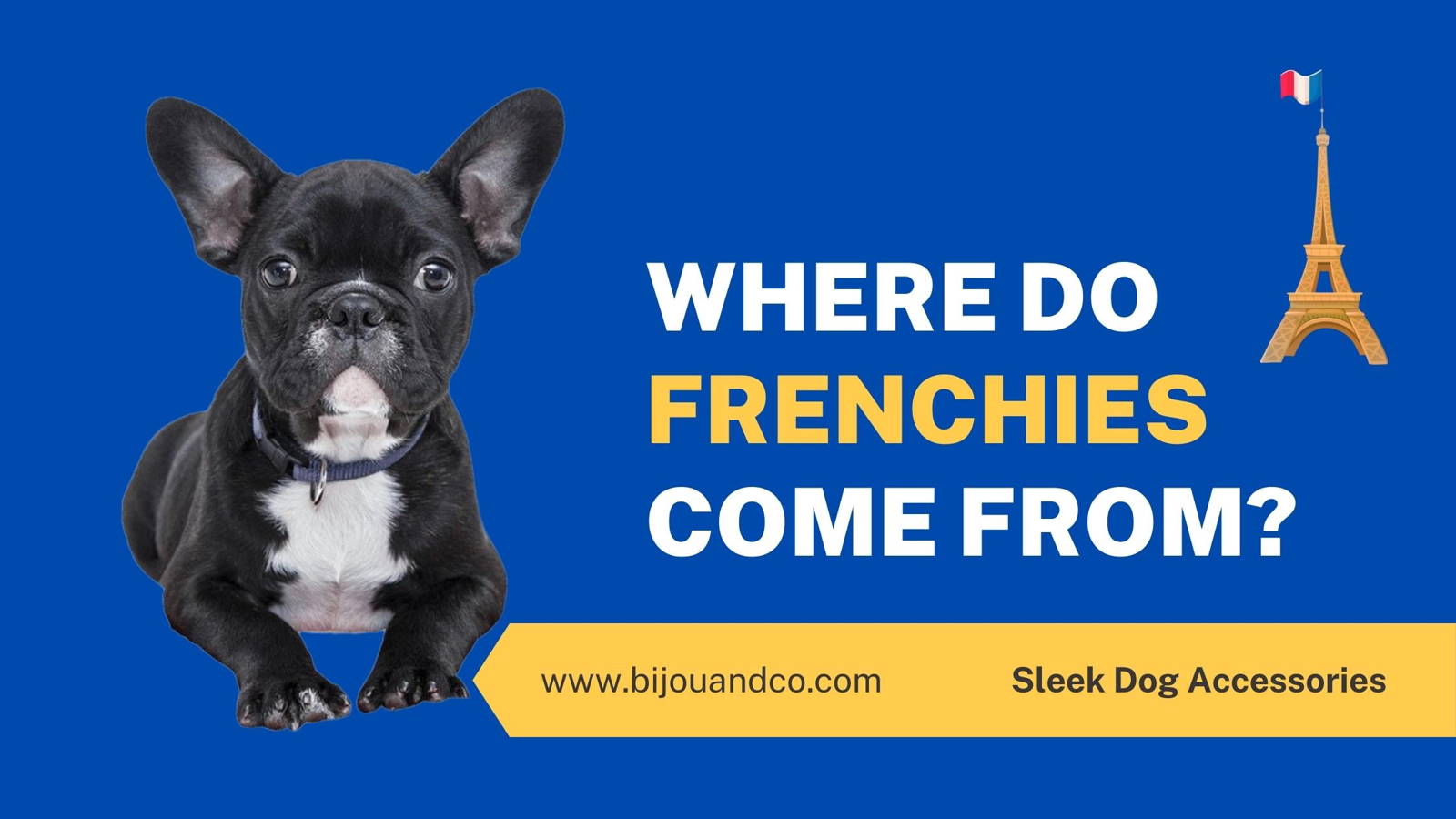 where do french bulldogs come from