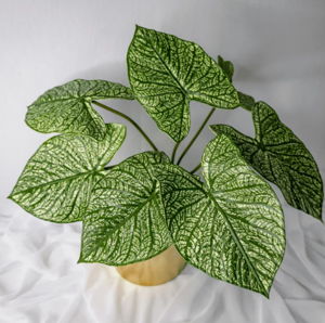 Green Caladium Leaf - Realistic Artificial Flowers and Greenery