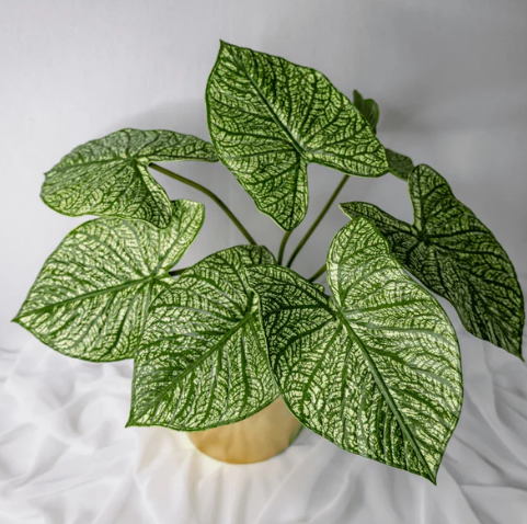 Green Caladium Leaf - Realistic Artificial Flowers and Greenery