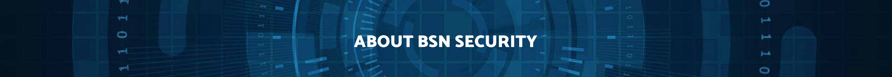 Text - About BSN