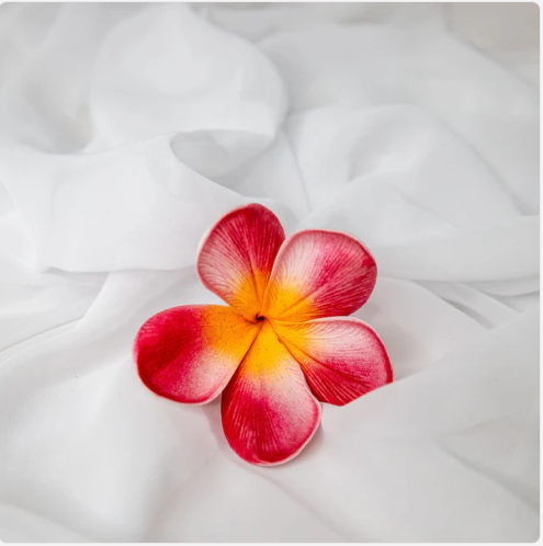 Red Orange Frangipani Flowerhead (6 Pack) - Realistic Artificial Flowers - Image 4