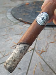 Cigar Session Photo