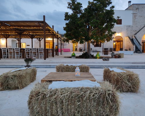 Tour enogastronomici Alberobello: Degustazione vino & cibo in Masseria