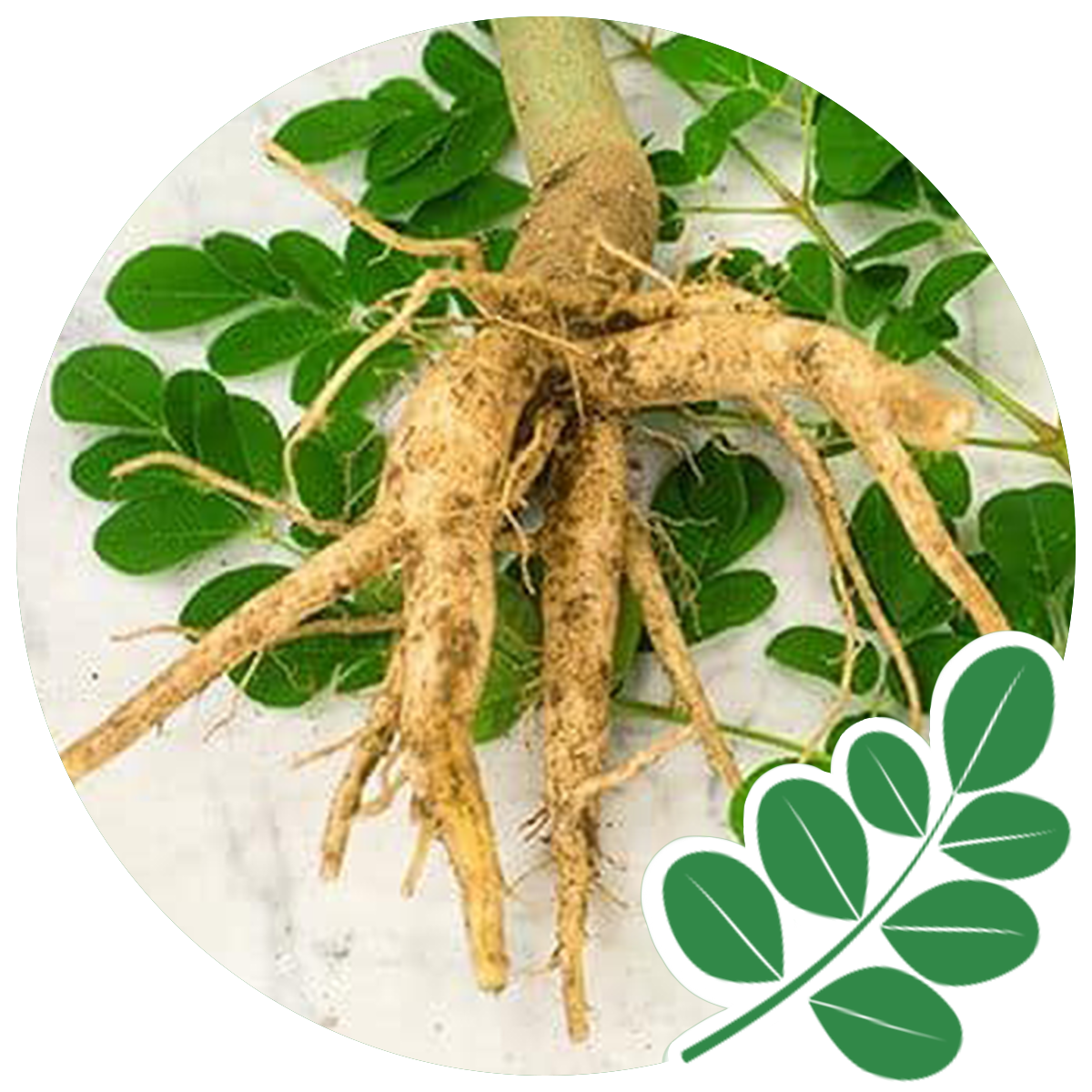 Bowl of Green powder made of spirulina found in the best Multivitamins for men