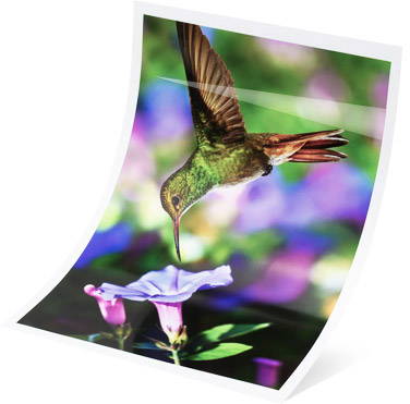 Premium glossy paper for matte acrylic prints