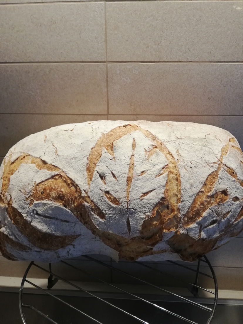 Corsi di cucina Montesilvano Colle: Lezione di cucina sul pane fatto in casa con lievito madre