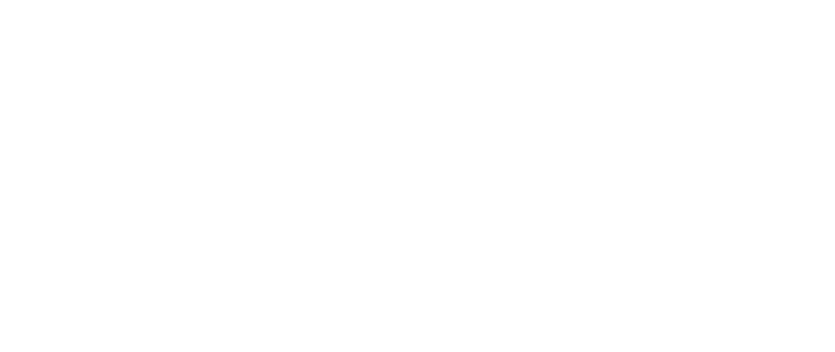 Tomas Hoffmann Logo