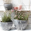 Startseite - Mobil - Outdorr Dinning