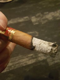 Cigar Session Photo