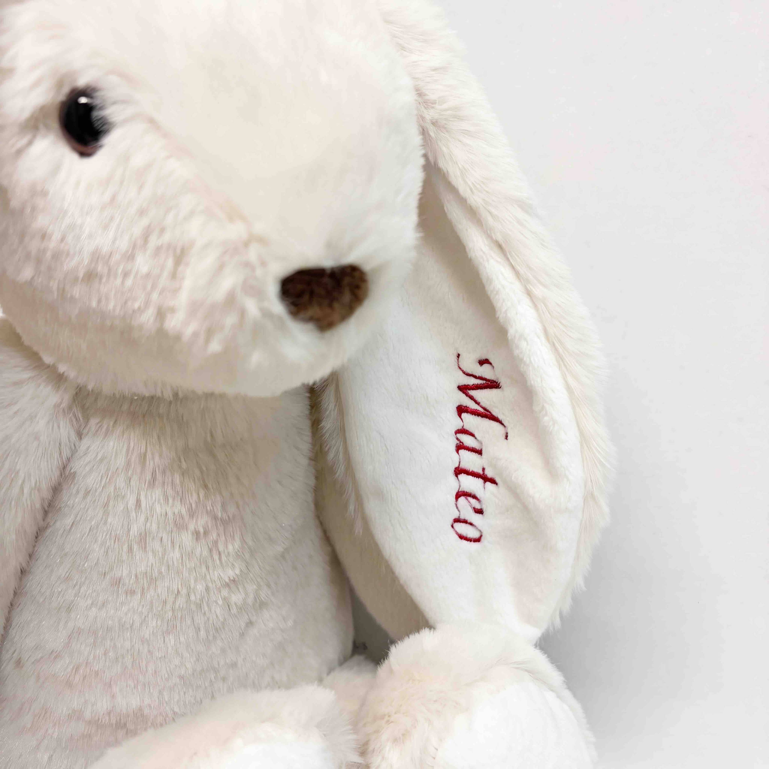 protège carnet de santé qualité bébé raffiné certifié OEKO-TEX, idéal pour chic et confortable