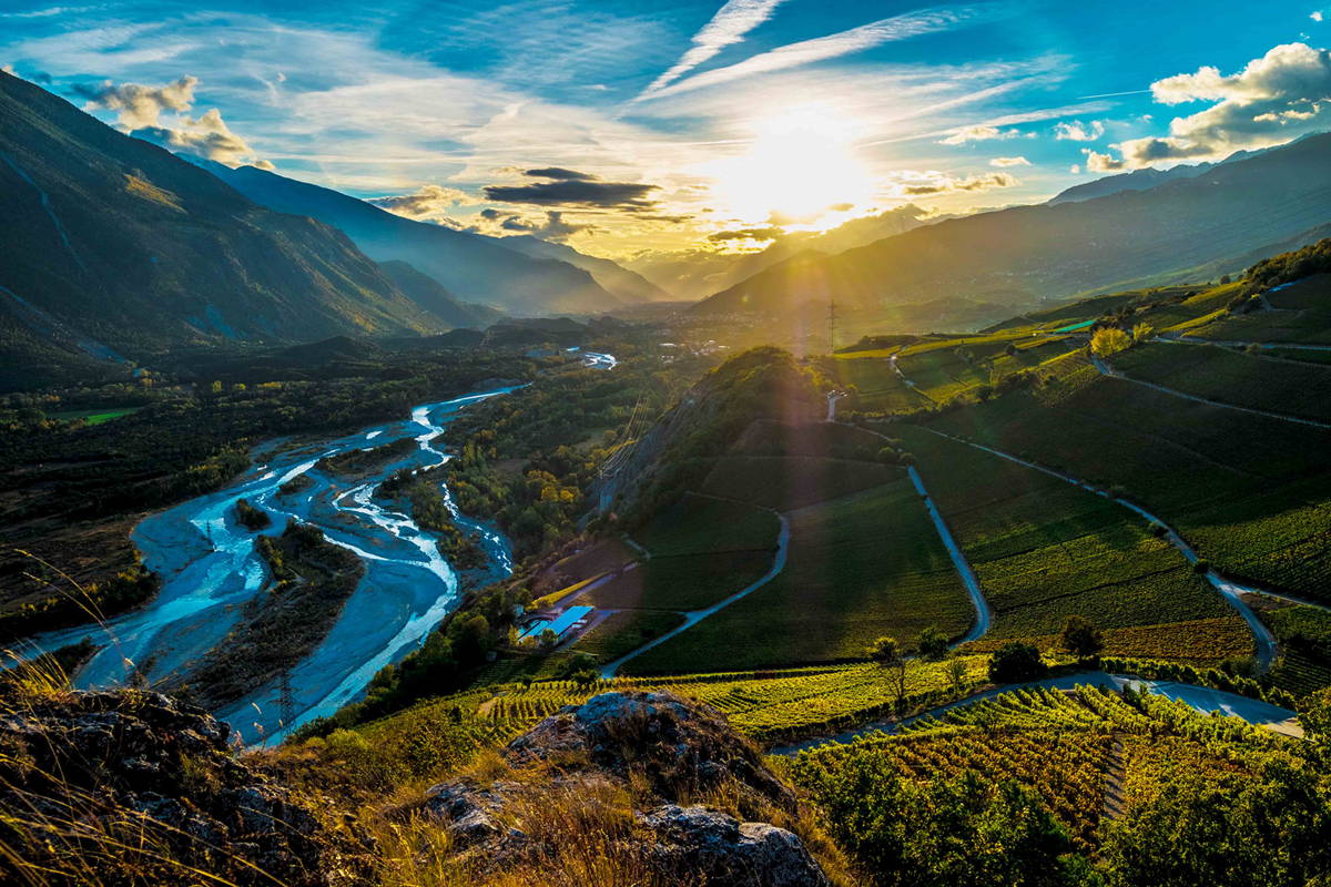 Paysage valaisan avec vignobles en terrasse