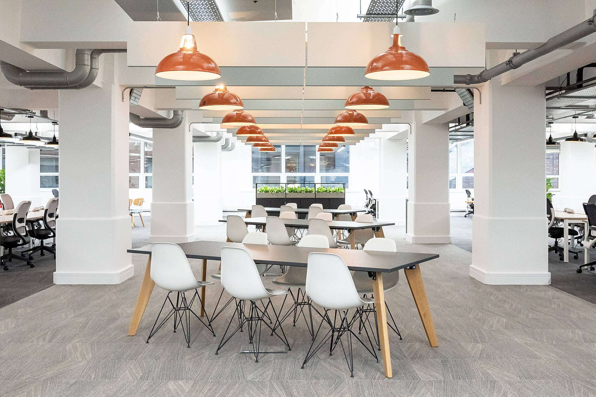 Two rows of Large Terracotta Lampshades hang over a row of desks inside a modern office building