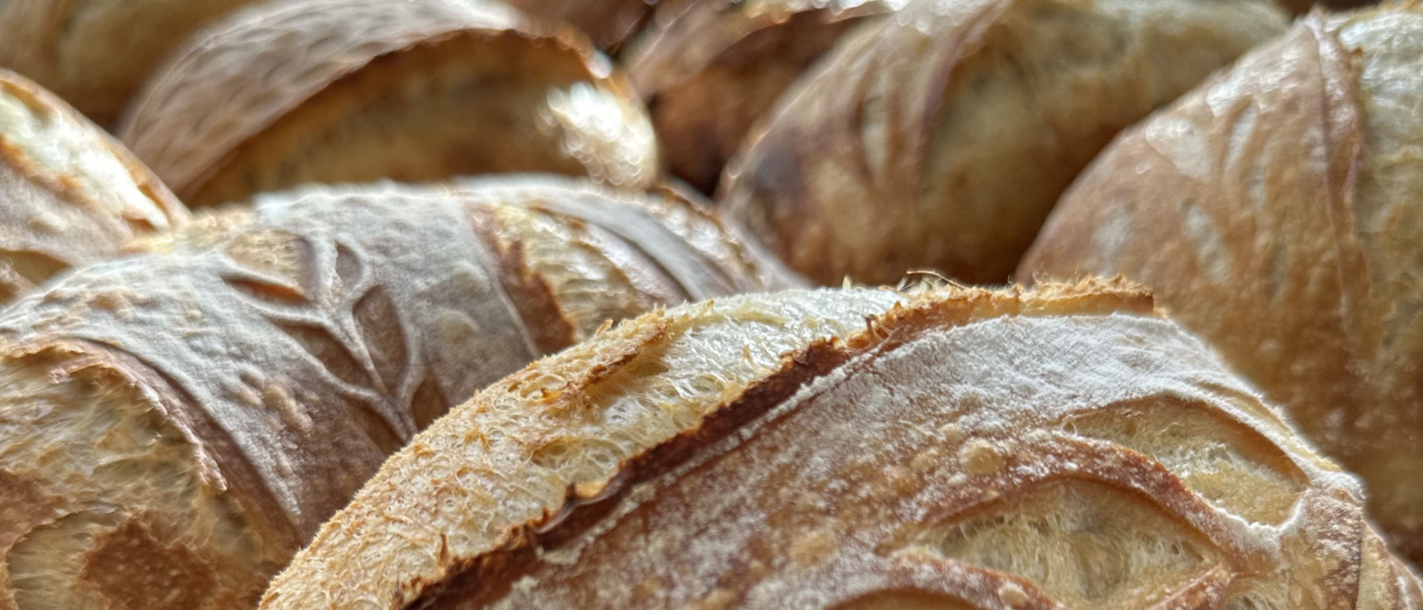 Dana Rotariu | At Home Sourdough — photo from hotplate.com