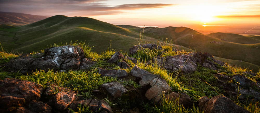 The sun setting over the wilderness in Bakersfield, CA, USA