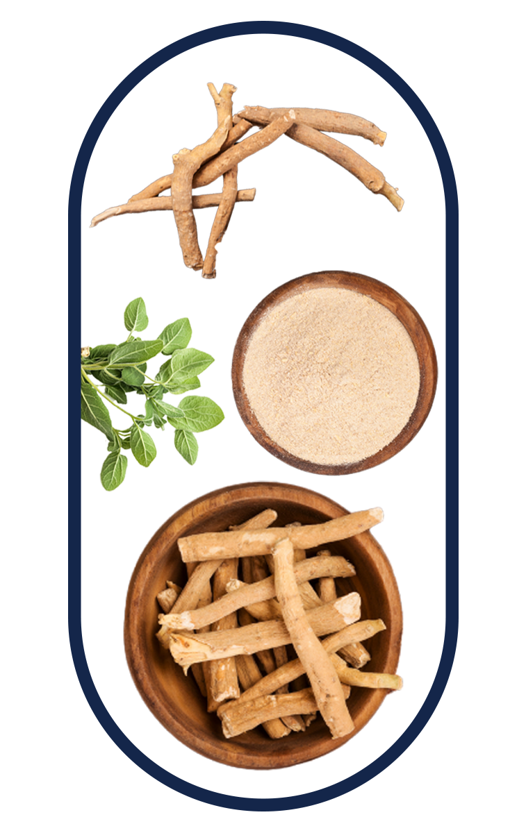 Ashwagandha root and powder support himalayanshilajit benefits for stress, energy, and focus