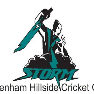 Sydenham Hillside Cricket Club Logo