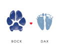 dog paw print next to human baby footprints