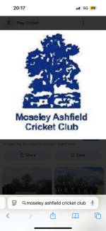 Moseley Ashfield Cricket Club Logo
