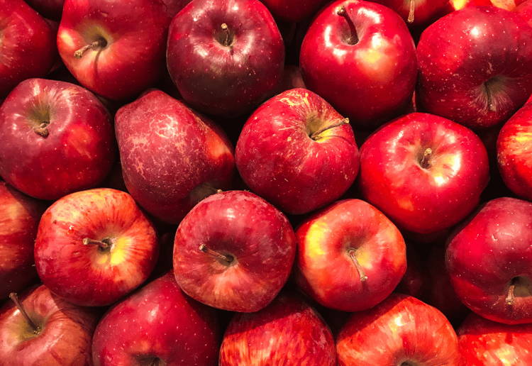 りんご種類 時期