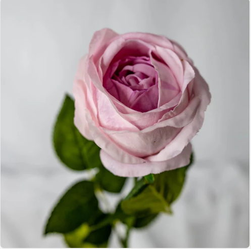 Vintage Lilac David Austin Real Touch Rose Open Bud - Realistic Artificial Flowers