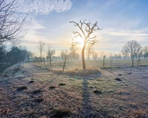 Tour enogastronomici Campocroce: Degustazione di prodotti e vini presso l'azienda Cà Donadel