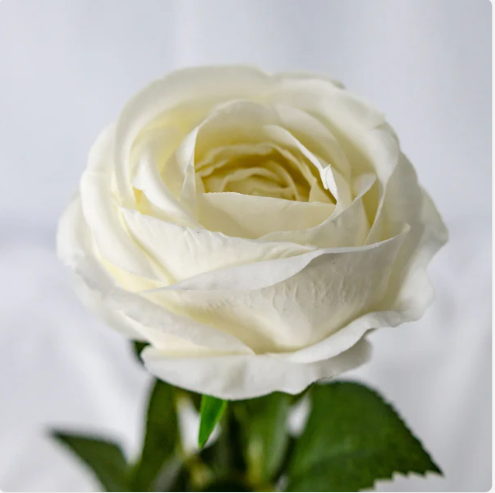 White David Austin Open Bud Real Touch Roses - Realistic Artificial Flowers
