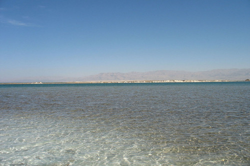 День отдыха на мертвом море