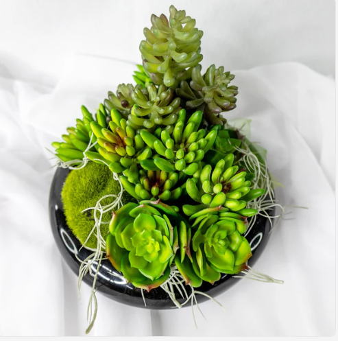 Claw Lotus Succulent (6 Pack) - Realistic Artificial Flowers and Greenery - Image 2