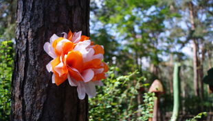 haus natur und umwelt deko