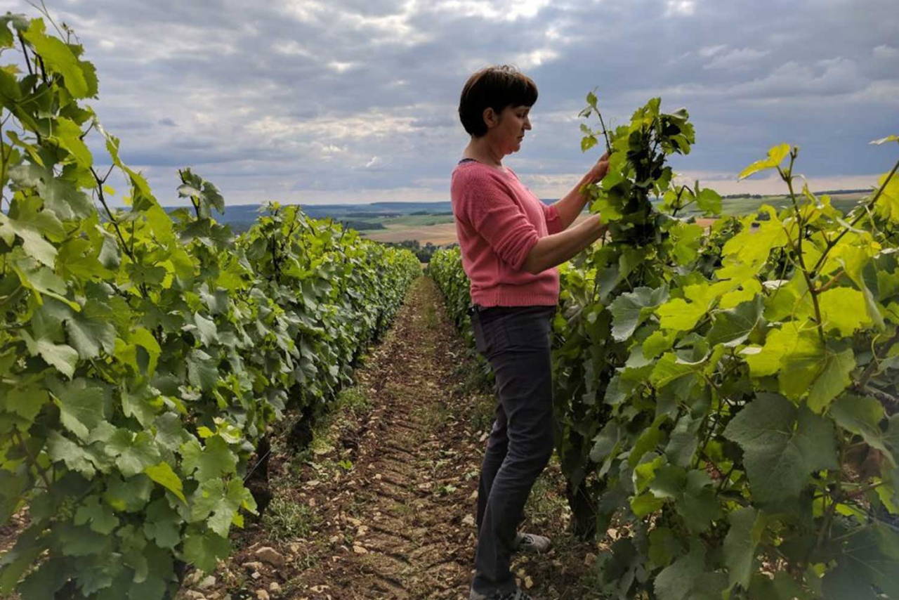 Champagne Colette Bonnet (vigneron)
