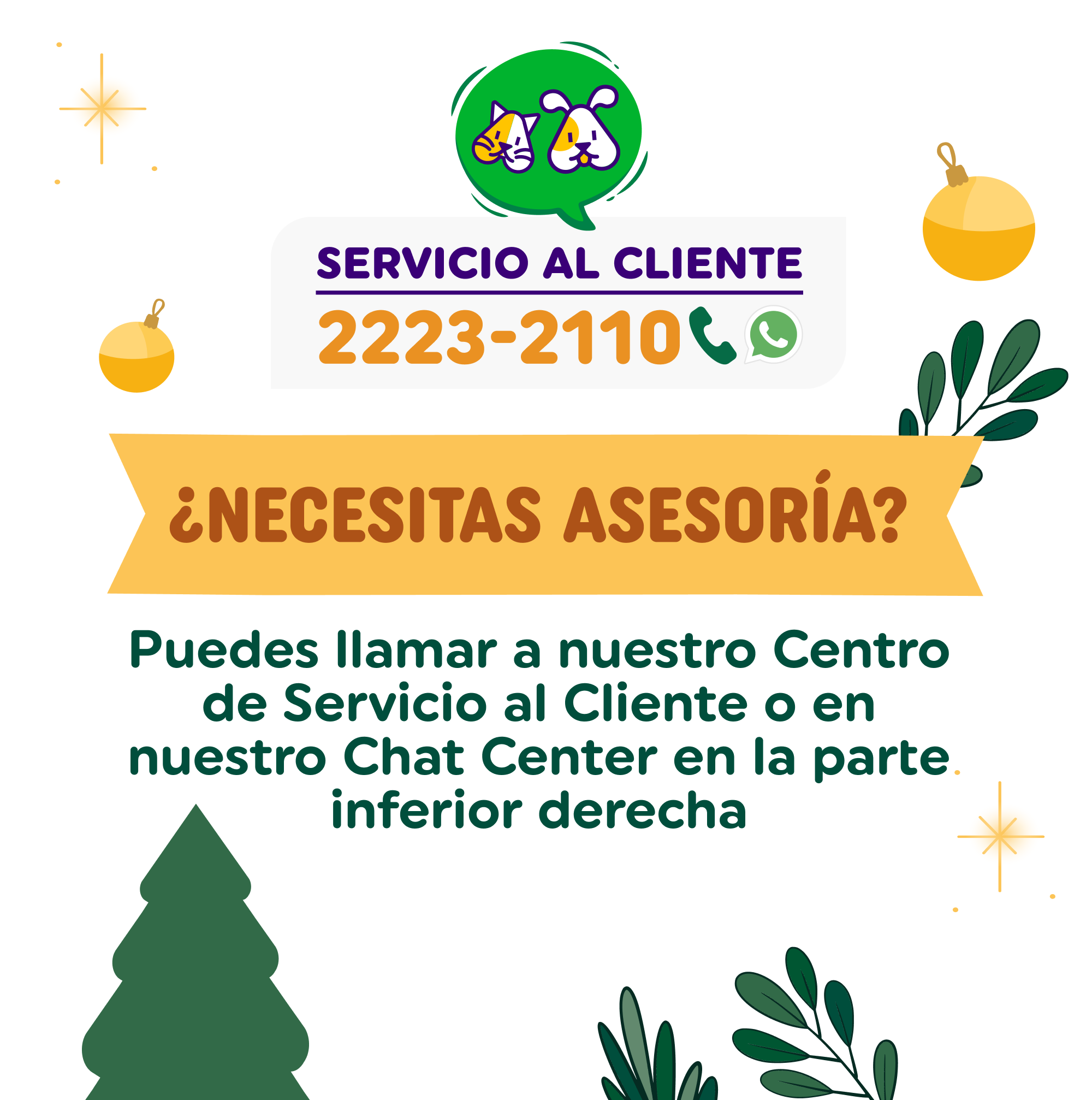 servicio al cliente 2223 2110