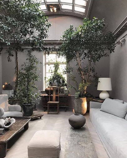 warm grey with plants and deep seated clean-lined furniture