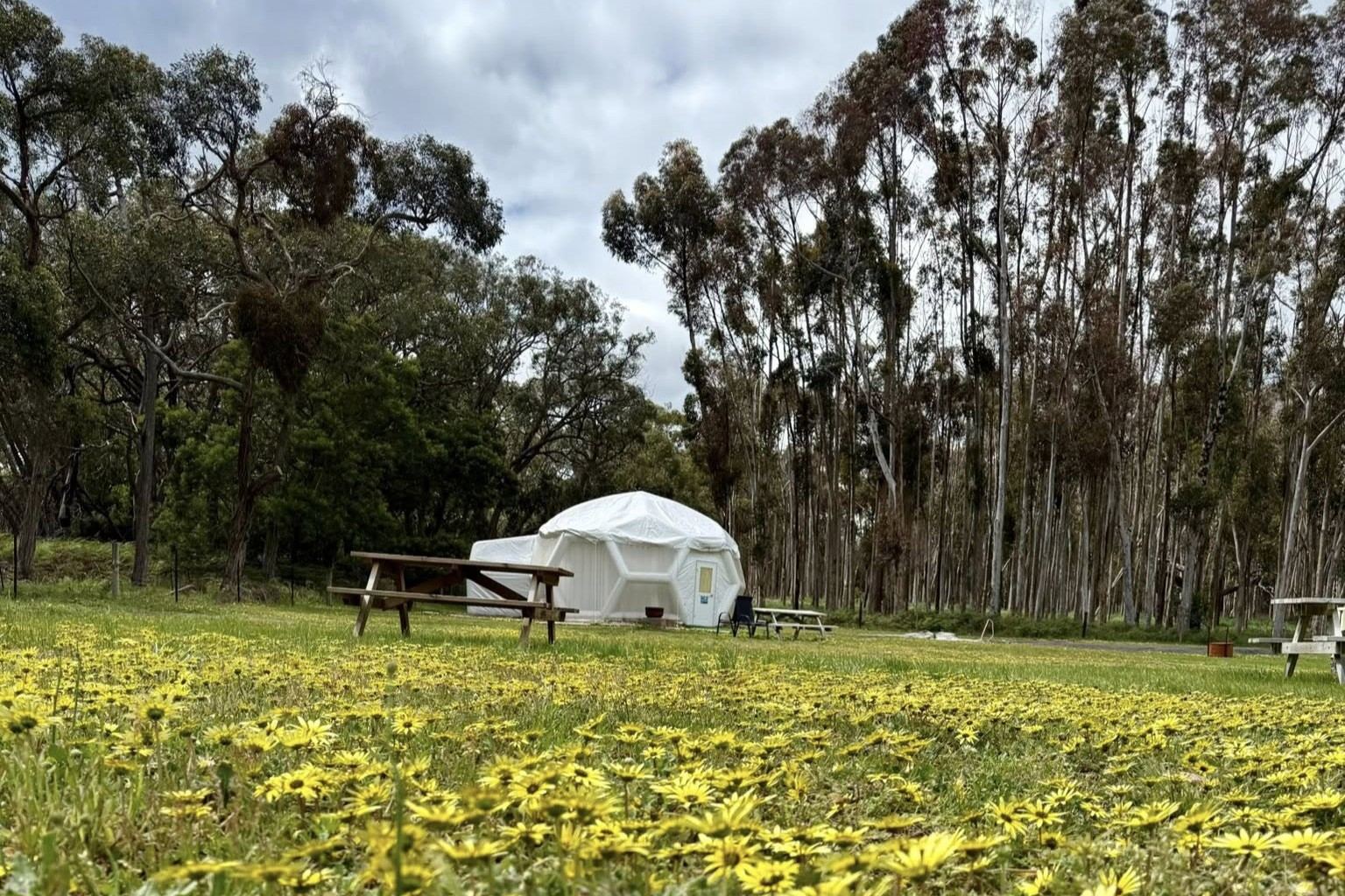 Coonawarra Bush Holiday Park Voucher - Image 9