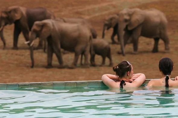4 Days the Best of South Luangwa Luxury Safari