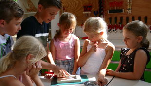 p technik workshop orig