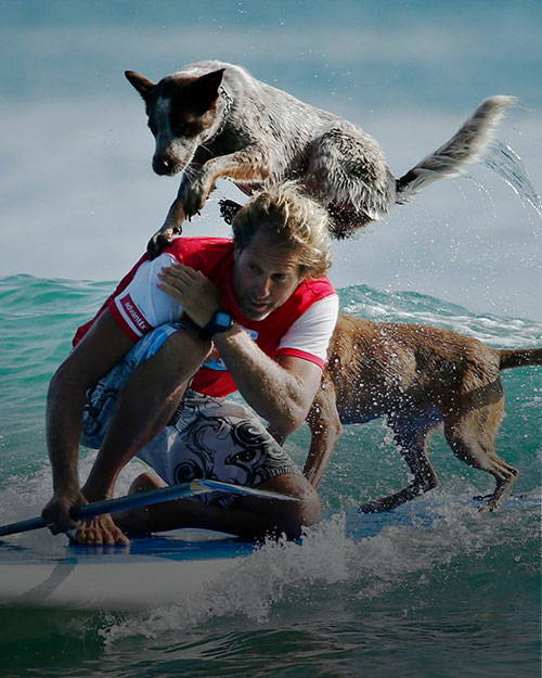 Chris de Aboitiz surfing with his dog
