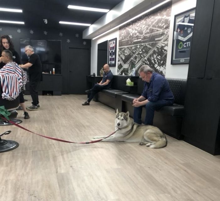 Just Cuts for Men Oakleigh - Voucher - Image 4