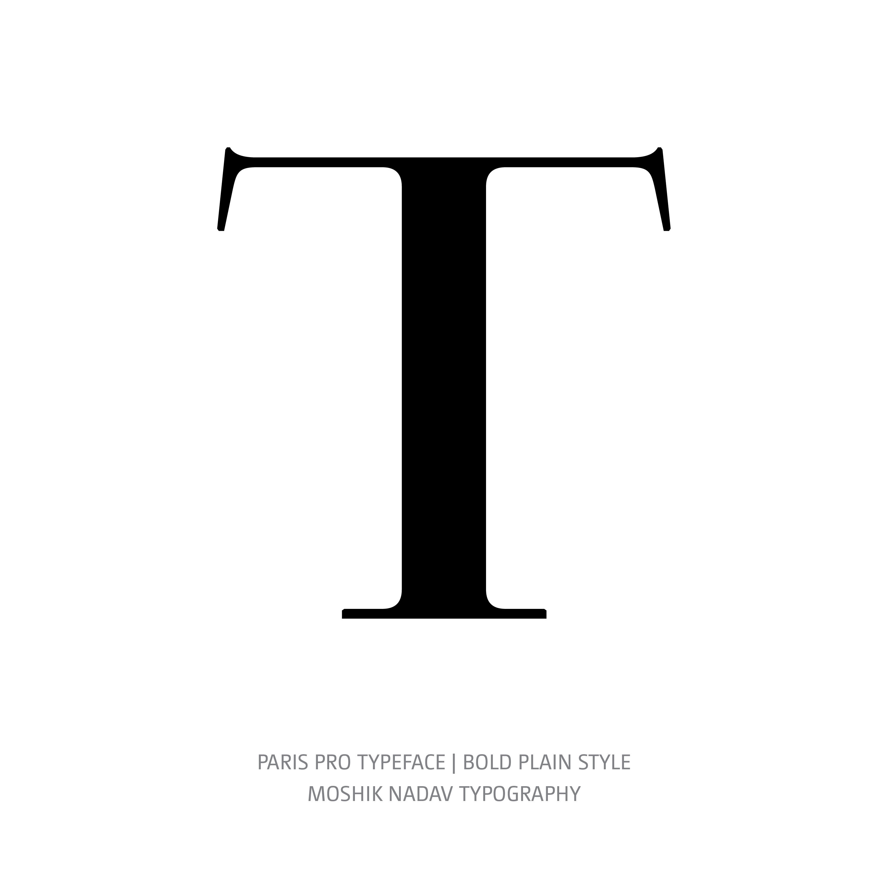 Paris Pro Typeface Bold Plain T