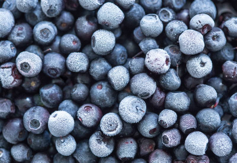 冷凍ブルーベリー 食べ方