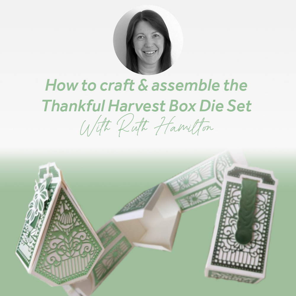 a woman's face in a green and white box