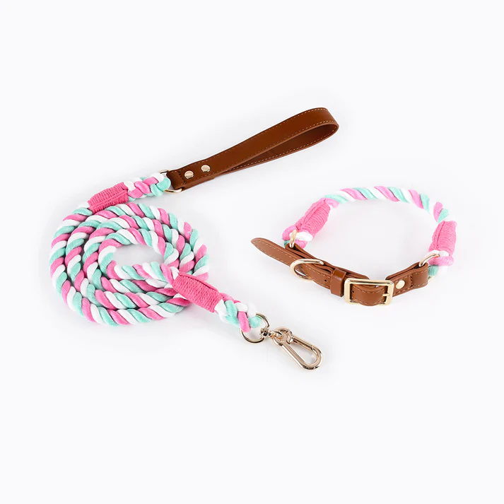 Pink Green Premium Leather Pet Collar and Leash - Soft, Strong Braided Rope