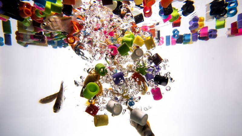 colorful microplastics float in water. some are surrounded by bubbles. a few fish swim by